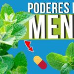 Los increíbles beneficios de la hierba menta