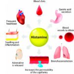Los increíbles beneficios de la histidina