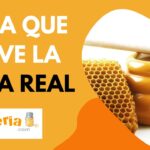 Los increíbles beneficios de la jalea real en ayunas