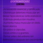 Los increíbles beneficios de la leucina