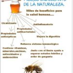 Los increíbles beneficios de la miel de abejas pura