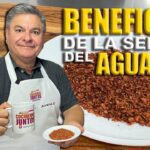 Los increíbles beneficios de la pepa de palta