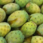 Los increíbles beneficios de la tuna verde