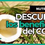Los increíbles beneficios de la yautía y el coco