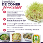 Los increíbles beneficios de las lentejas germinadas
