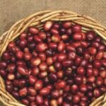 Los increíbles beneficios de los frijoles rojos