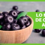 Los increíbles beneficios del acai berry