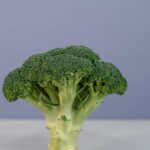 Los increíbles beneficios del agua y el brócoli
