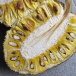 Los increíbles beneficios del jackfruit