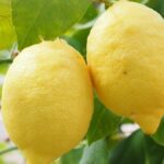 Los increíbles beneficios del limón crudo