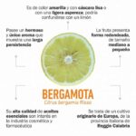 Los maravillosos beneficios de la bergamota
