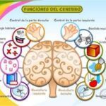 Los múltiples beneficios de aprender chino
