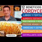 Los poderosos beneficios del cordyceps