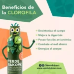 Los secretos de la clorofila en tu bebida