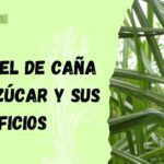 Los secretos de la miel de caña de azúcar