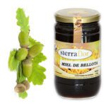 Los secretos de la miel y las bellotas