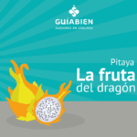 Los secretos de la pitaya