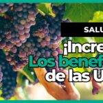 Los secretos de la uva: propiedades y beneficios increíbles