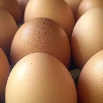 Los sorprendentes beneficios del huevo de avestruz
