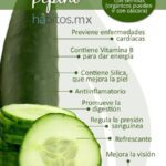 Los sorprendentes beneficios del pepino crudo