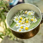 Manzanilla en ayunas: el elixir de la salud