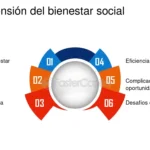 Maximiza tu bienestar con la economía social