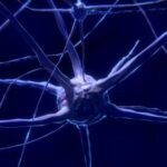 Maximiza tu bienestar con los beneficios de Azilect