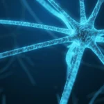 Maximiza tu bienestar: descubre los beneficios que te motivan