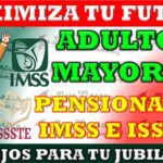 Maximiza tu bienestar: los beneficios de cotizar en el IMSS