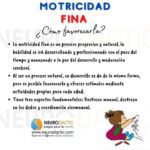 Beneficios de desarrollar la motricidad fina