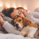 Beneficios de dormir acompañado de tu perro
