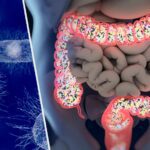 Beneficios de escherichia coli: Todo lo que debes saber