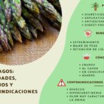 Beneficios de incluir agua y espárragos en tu dieta