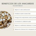 Beneficios de incluir anacardos crudos en tu dieta