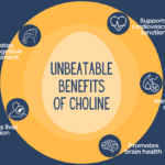 Beneficios de incluir colina en tu dieta