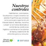 Beneficios de incorporar carne de oveja en tu dieta