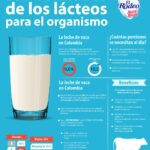 Beneficios de incorporar leche en la dieta diaria