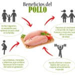 Beneficios de incorporar pechuga de pollo en tu dieta