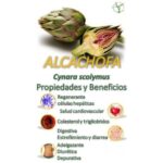 Beneficios de la alcachofa en pastillas