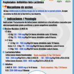 Beneficios de la ampicilina