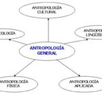 Beneficios de la Antropología