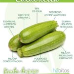 Beneficios de la calabacita
