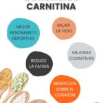 Beneficios de la carnitina para mejorar tu rendimiento deportivo