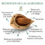 Beneficios de la cáscara de almendra