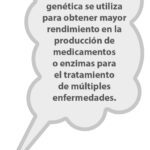 Beneficios de la clonación humana
