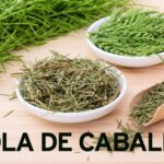 Beneficios de la cola de caballo para los riñones