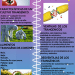 Beneficios de la comida transgénica