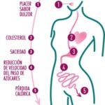 Beneficios de la Dieta Dukan