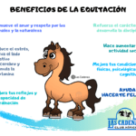 Beneficios de la equitación para adultos