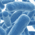 Beneficios de la flora bacteriana
